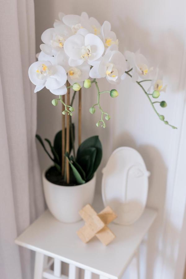 Studio 26: Central, Hampton'S Poolside Hideaway Coffs Harbour Bagian luar foto